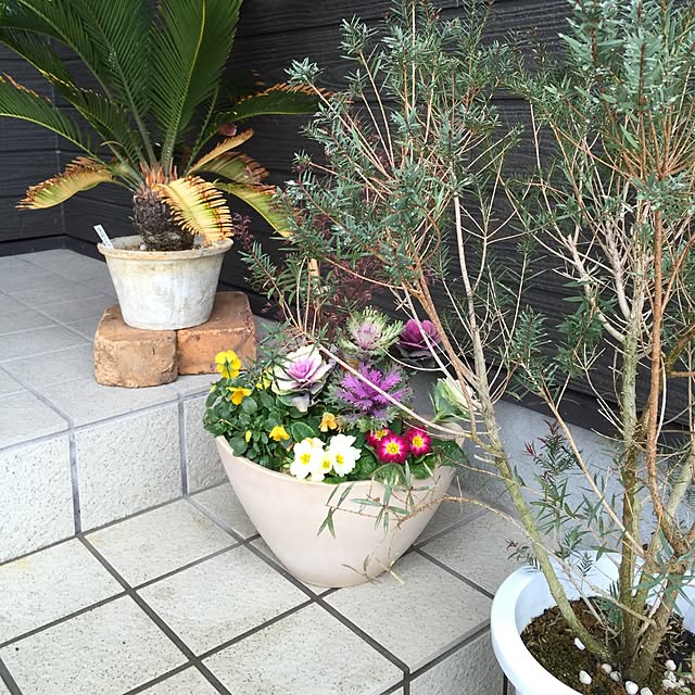tsuyopipさんの実例写真