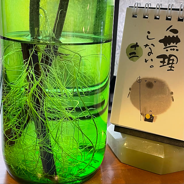 buchiさんの実例写真