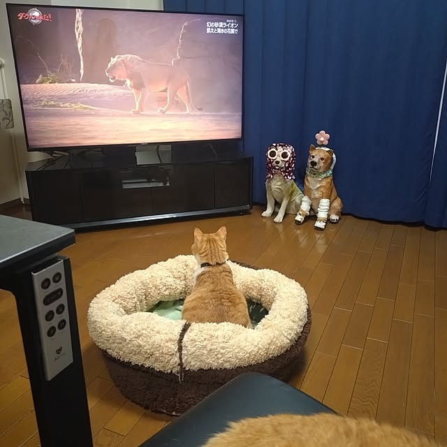 NOAHさんの実例写真