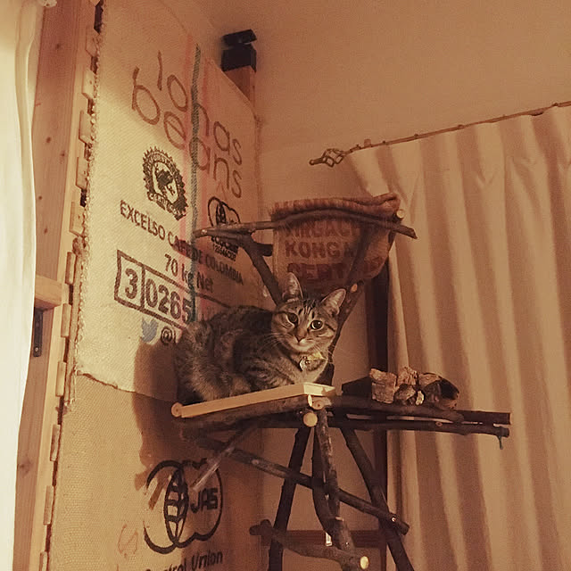 Mさんの実例写真