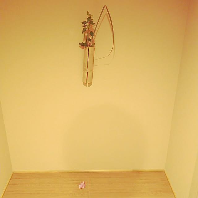 annaさんの実例写真