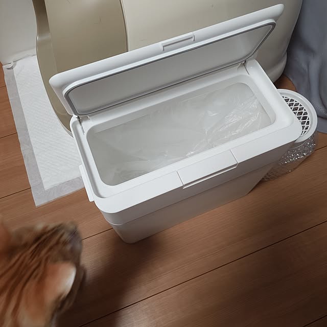 noguriさんの部屋