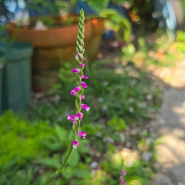 min_nimさんの実例写真
