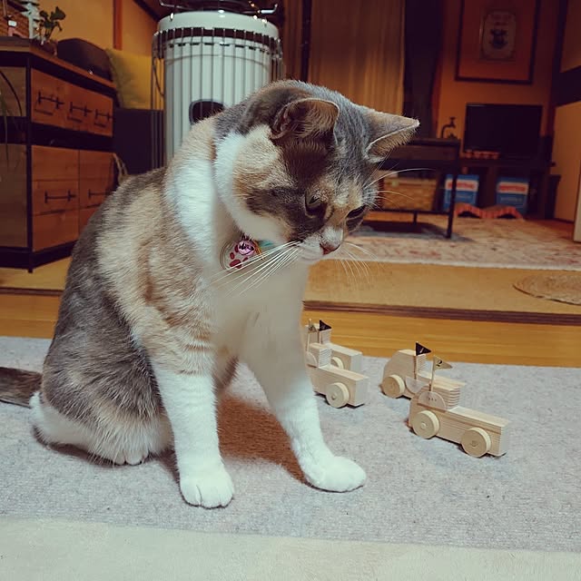 fukuさんの実例写真