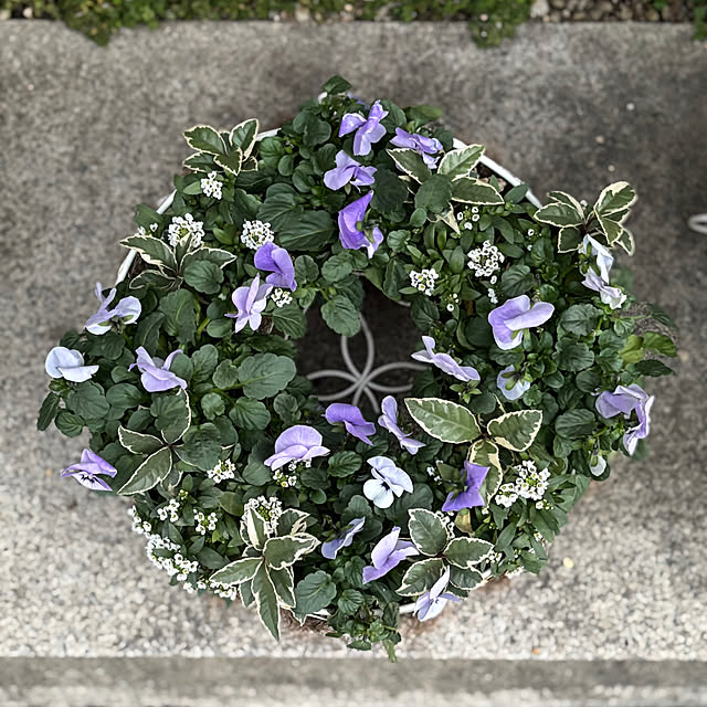 maayaさんの部屋