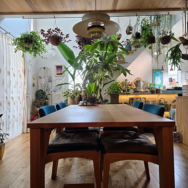 nonbiri_house_さんの部屋