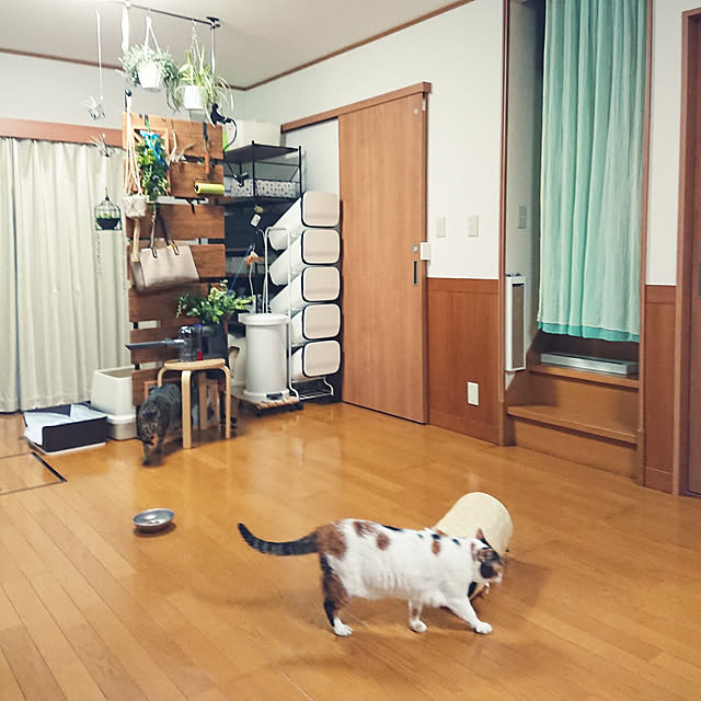 nachiさんの実例写真