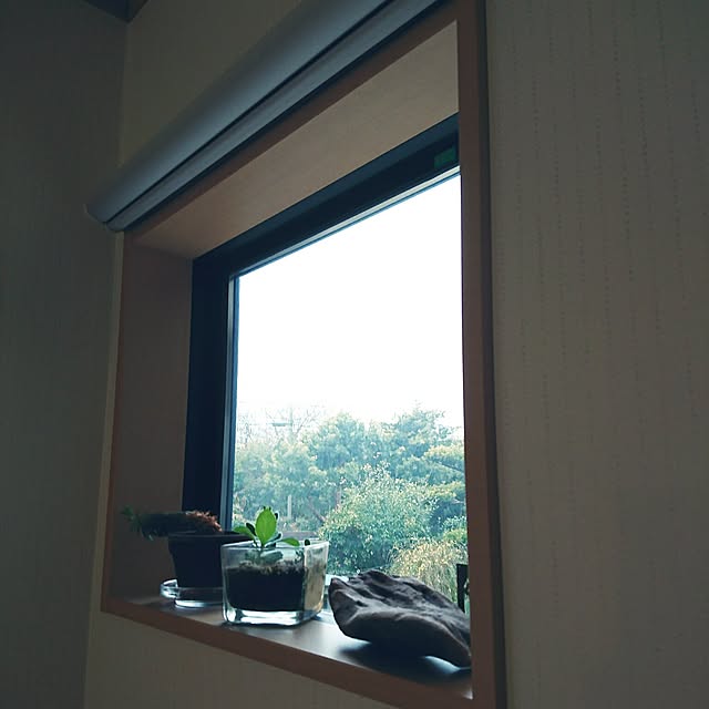 TOUEMONさんの実例写真