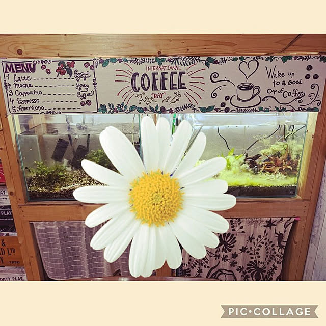 mokaさんの実例写真