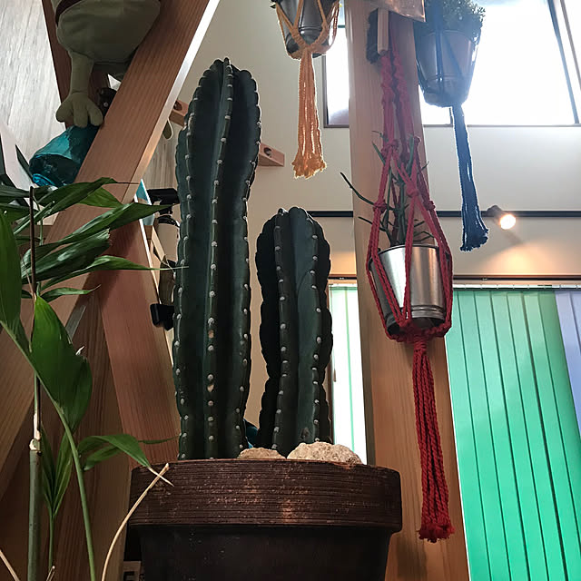 maasaさんの実例写真