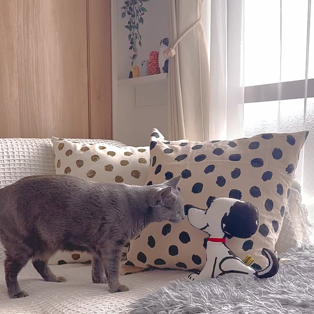 snoopyさんの実例写真