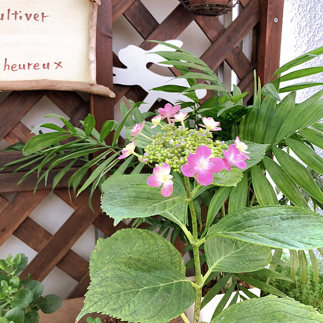 kojiro120513さんの実例写真