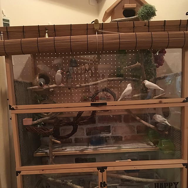 kanjirundmcさんの実例写真