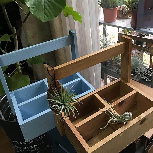 onokenkoさんの実例写真