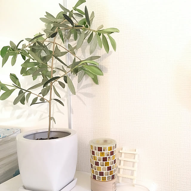 棚/IKEA/観葉植物/オリーブのインテリア実例 - 2018-05-01 20:21:28