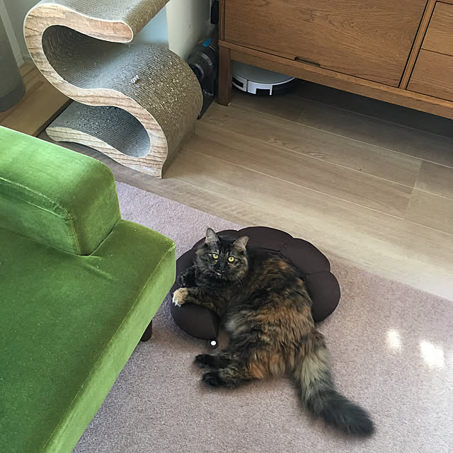 mikomaruさんの実例写真