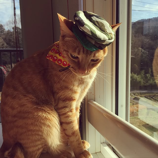 mtkさんの実例写真