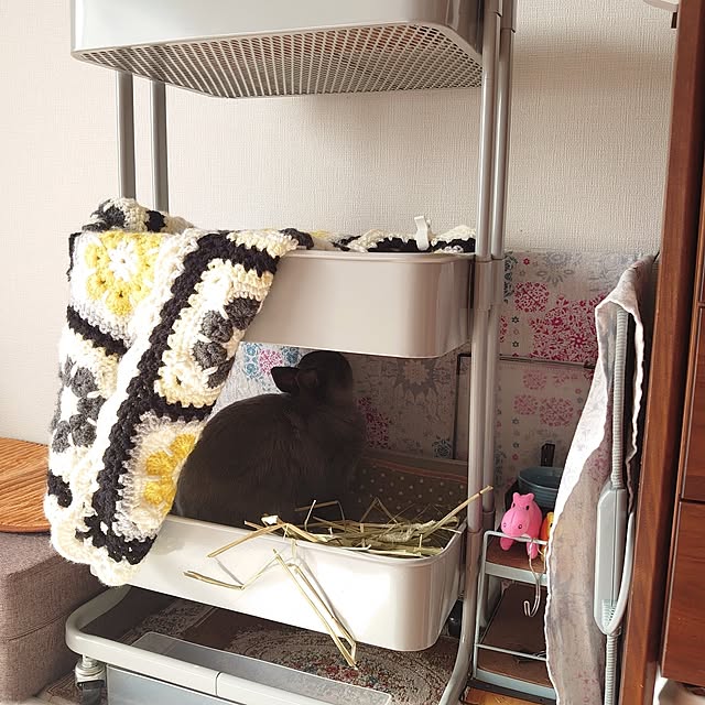 kirariさんの部屋