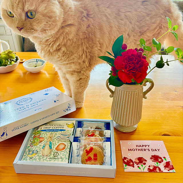 naokoさんの実例写真