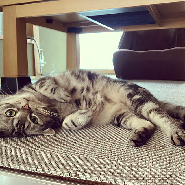 richanさんの部屋