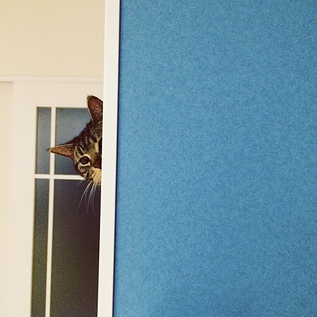 mami7さんの実例写真