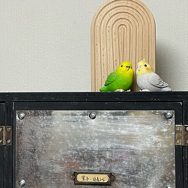 momocchiさんの実例写真