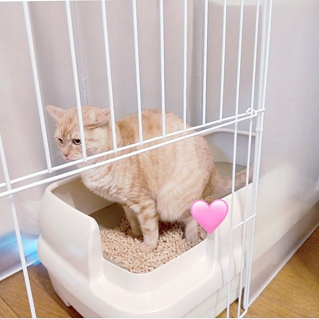 heart.emiemi57.whiteさんの実例写真