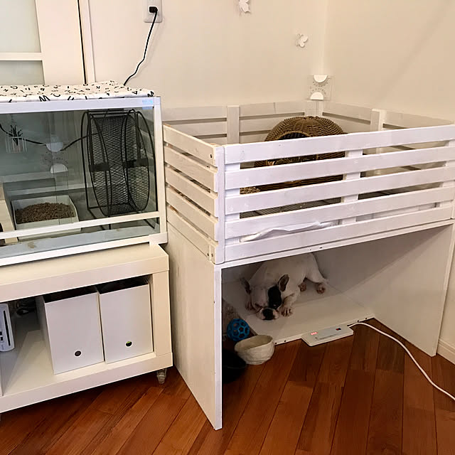 Mさんの実例写真