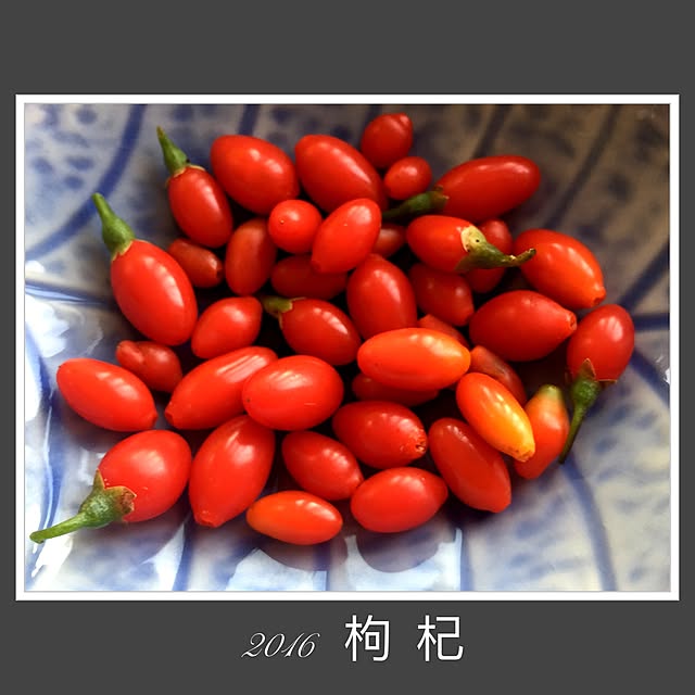 Sherryさんの実例写真