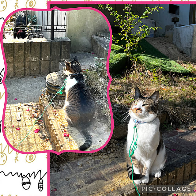 jijiさんの実例写真
