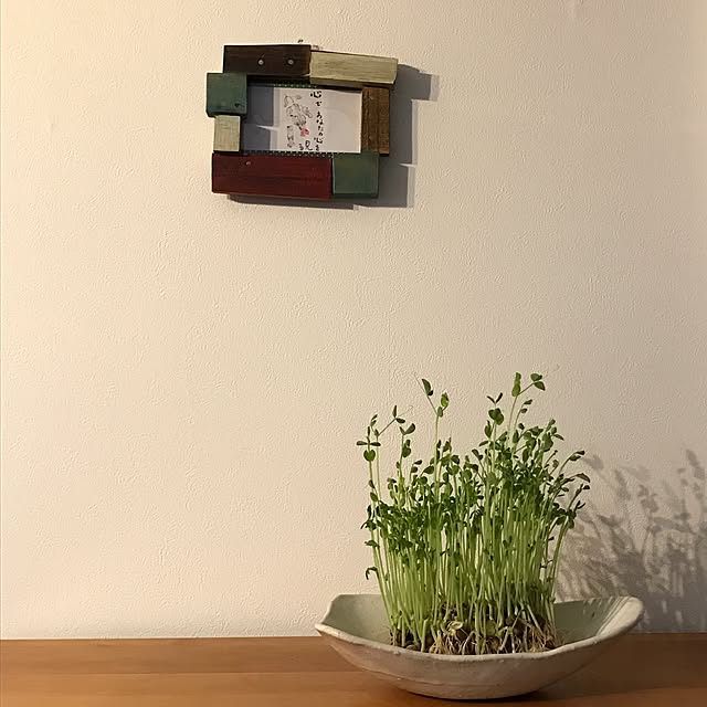 kokko3さんの実例写真