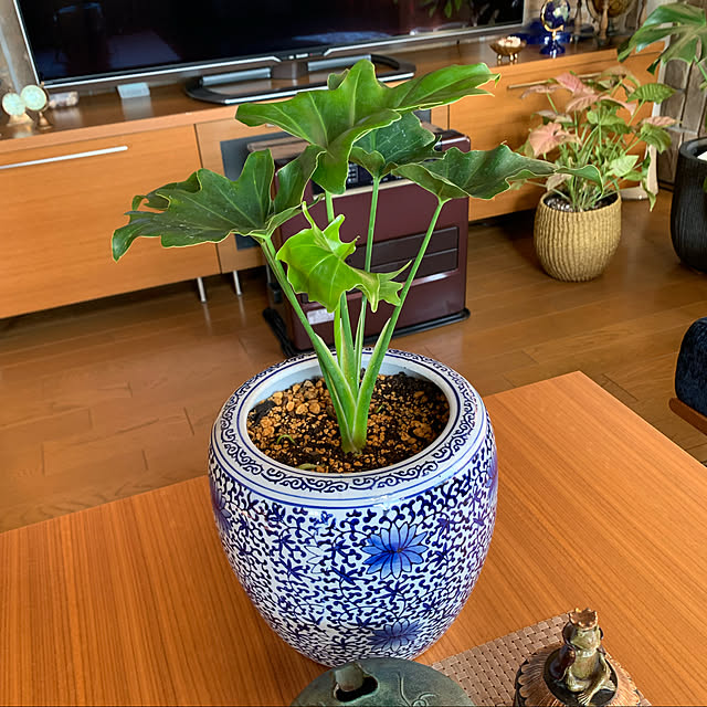 mama_sanさんの実例写真