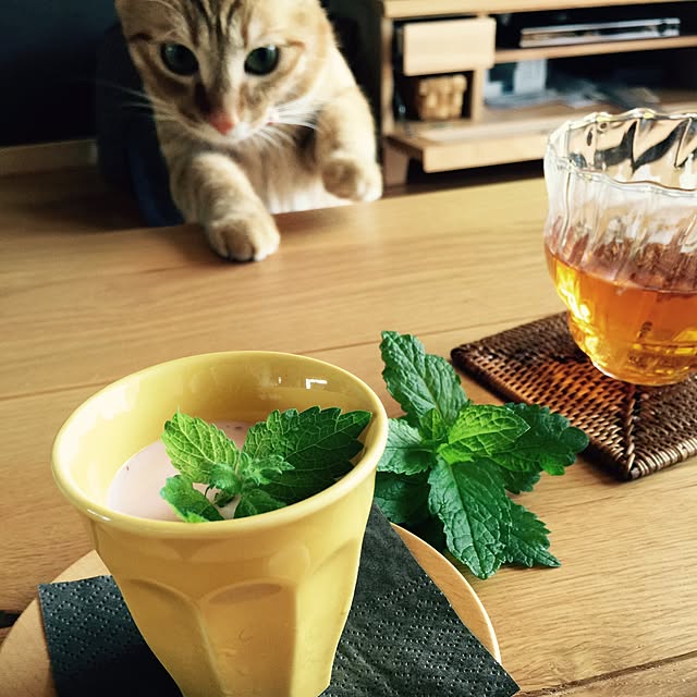hanaさんの実例写真