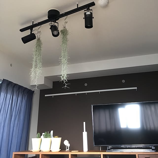 fad300さんの実例写真