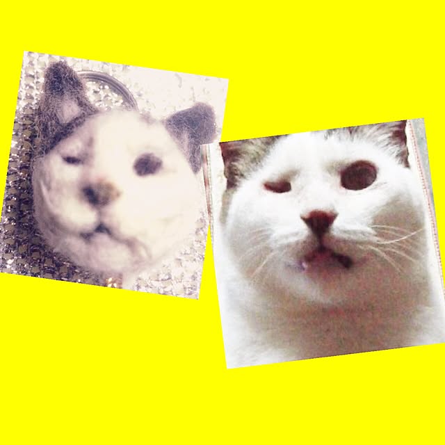 marikoさんの実例写真
