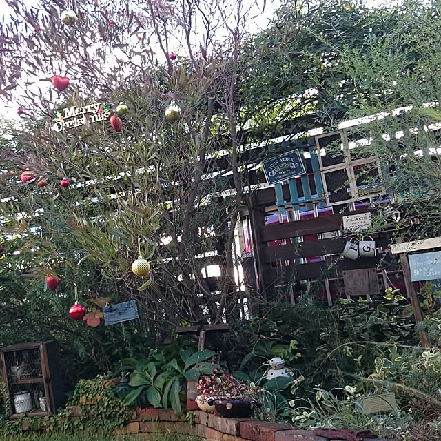 soraさんの実例写真