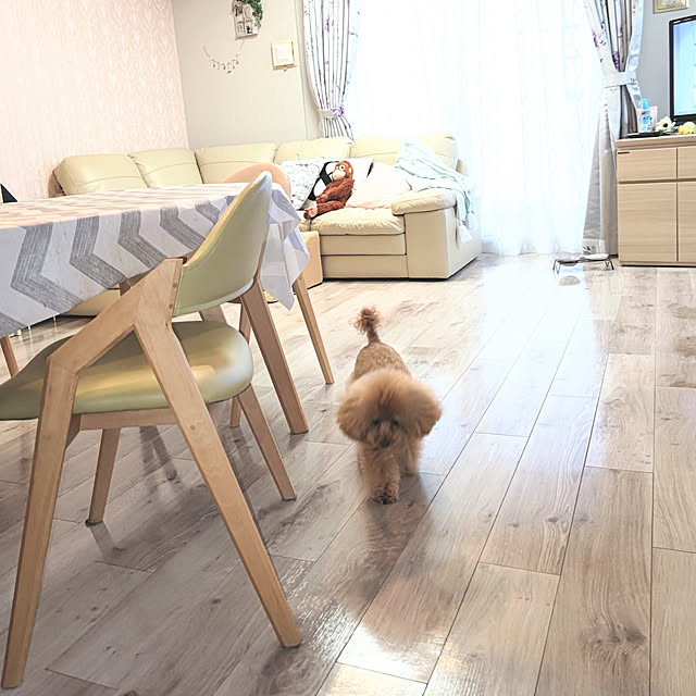 erisavesu4さんの実例写真