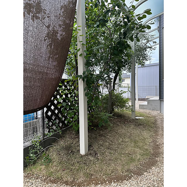 nono.0129さんの実例写真