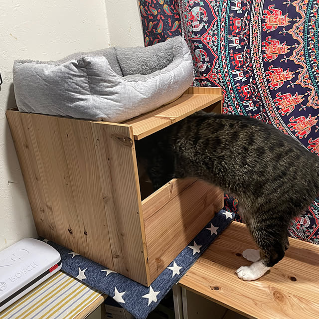 coolcats0528さんの部屋