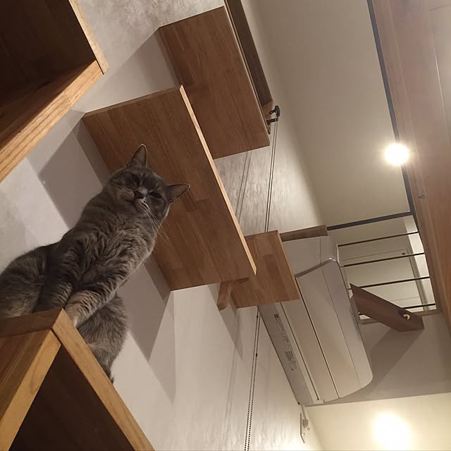 Chuppeetaさんの実例写真