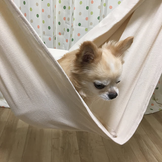 Sasaki Anaさんの実例写真