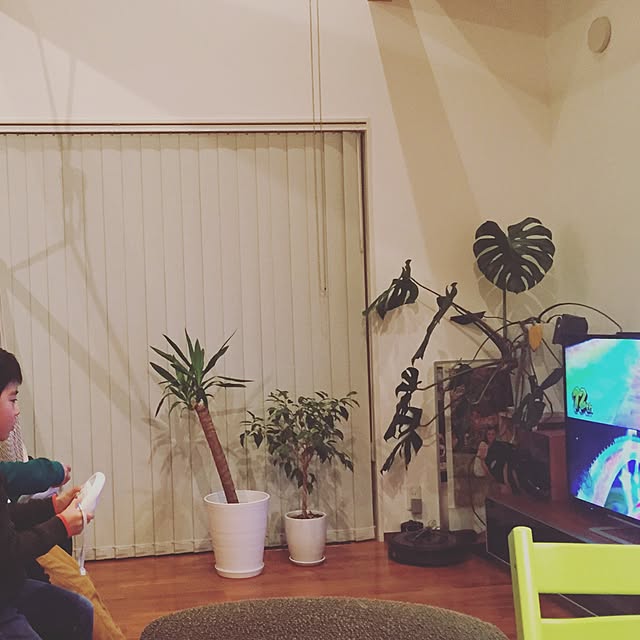 iamさんの実例写真