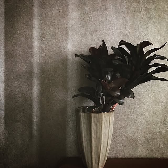5mayさんの実例写真