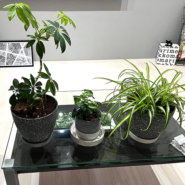 qooさんの部屋
