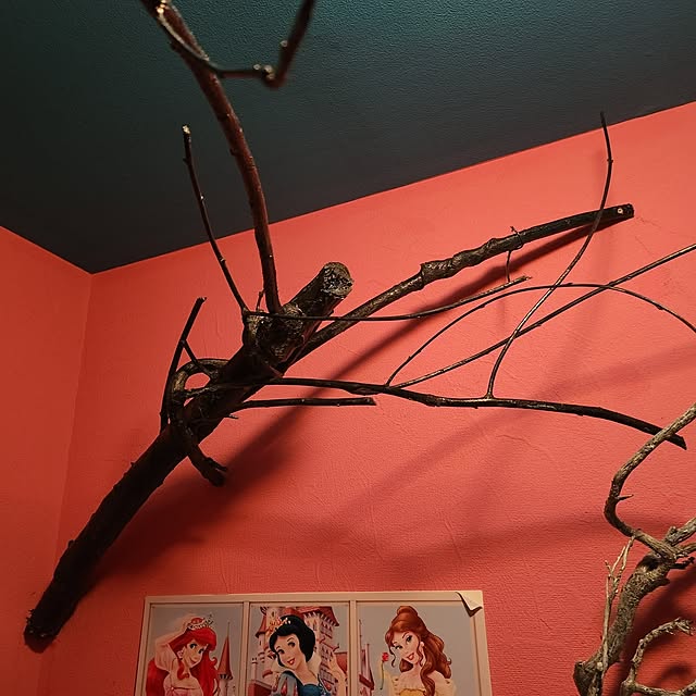 shuさんの部屋