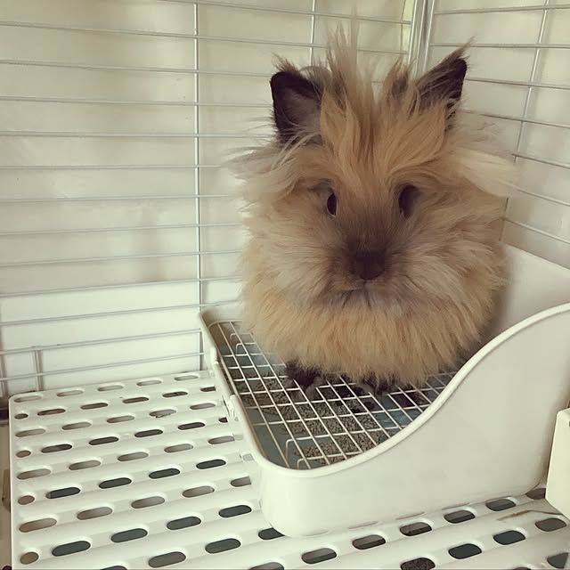 mさんの実例写真