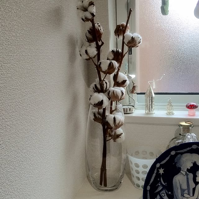 mooさんの実例写真