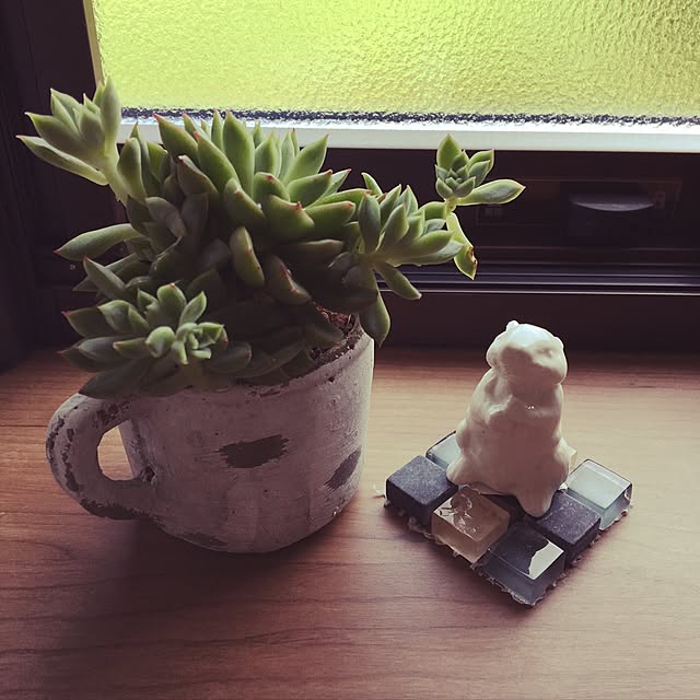 eveさんの実例写真