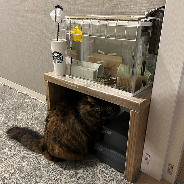 mikomaruさんの部屋