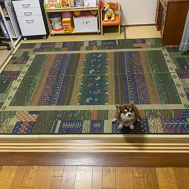 chIoeさんの実例写真